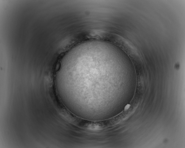 X0000103140751200808291338