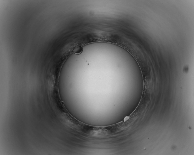 X0000103140752200808291338