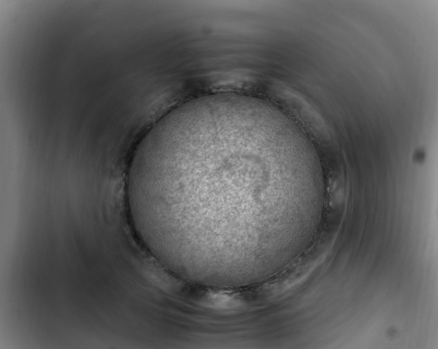 X0000103140753200808291338