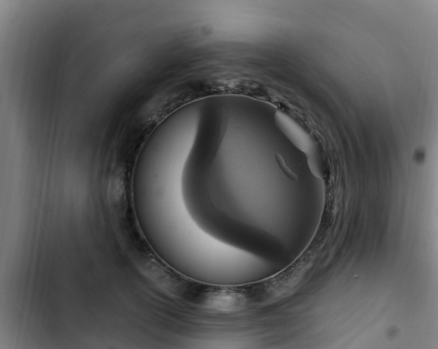 X0000103140754200808291338