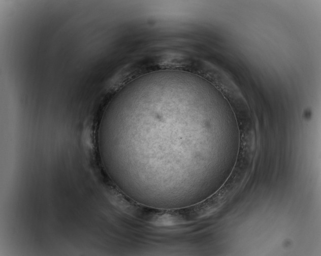 X0000103140755200808291338