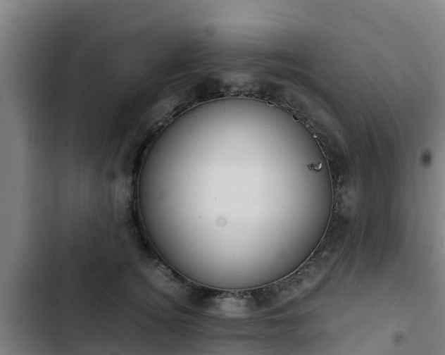 X0000103140756200808291338