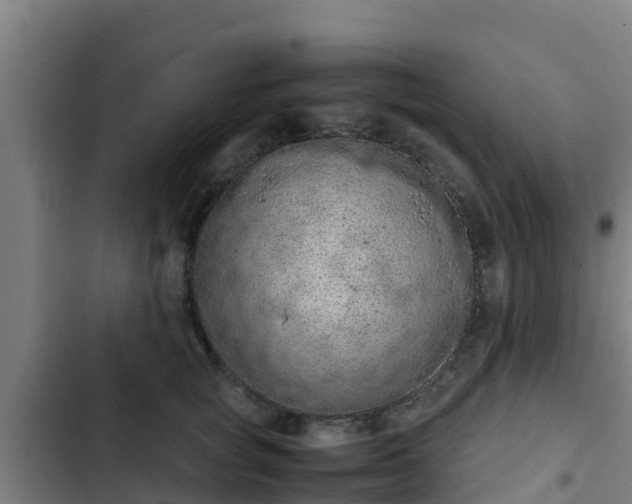 X0000103140757200808291338