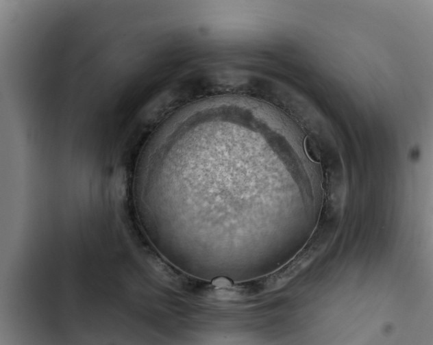 X0000103140758200808291338