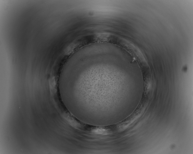 X0000103140759200808291338