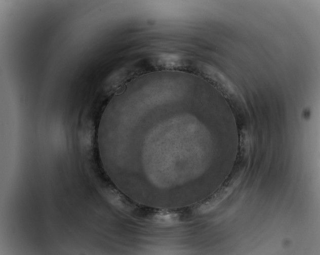 X0000103140760200808291338