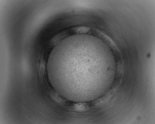 X0000103140761200808291338