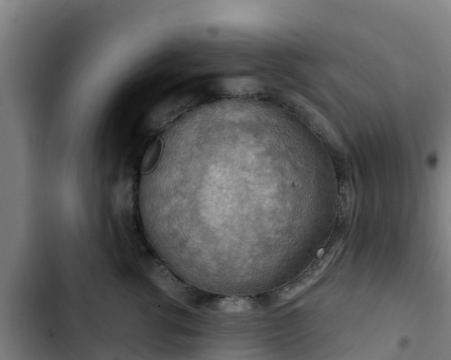 X0000103140762200808291338