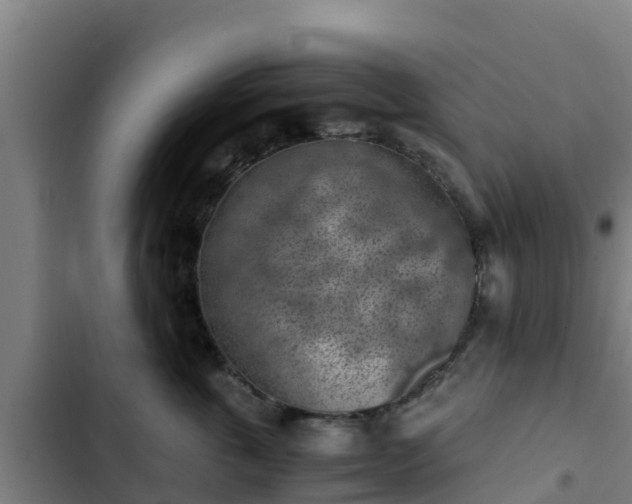 X0000103140763200808291338