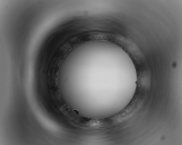 X0000103140764200808291338