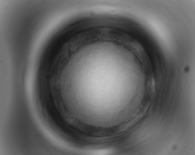 X0000103140765200808291338