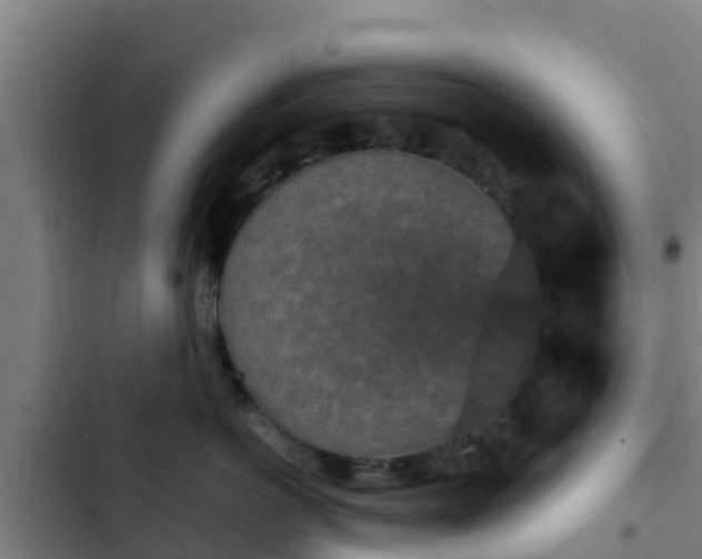 X0000103140766200808291338