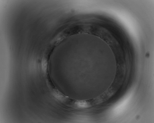 X0000103140767200808291338