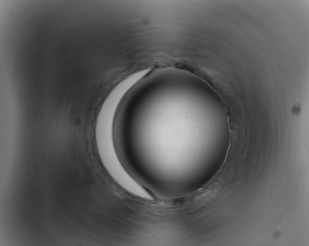 X0000103140768200808291338