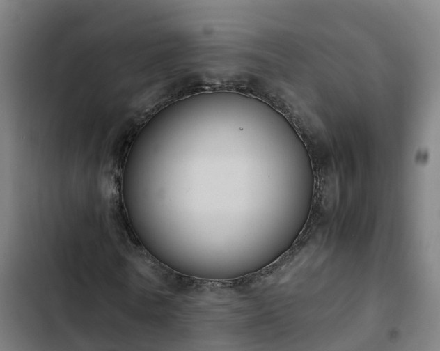 X0000103140770200808291337