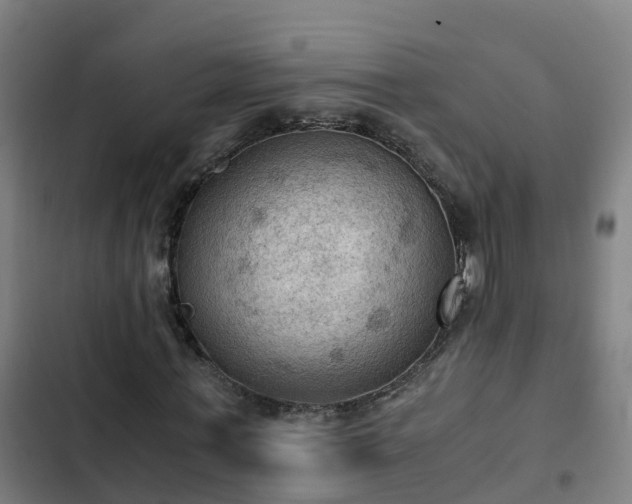 X0000103140771200808291337