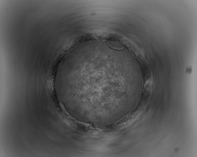 X0000103140772200808291337