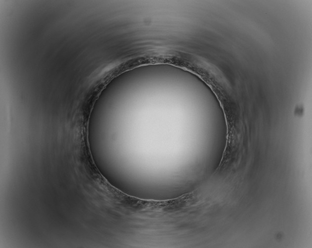 X0000103140773200808291337