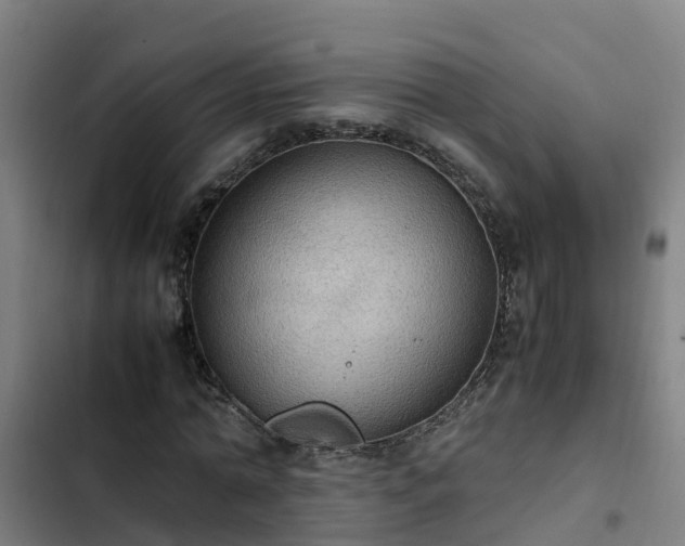 X0000103140774200808291337