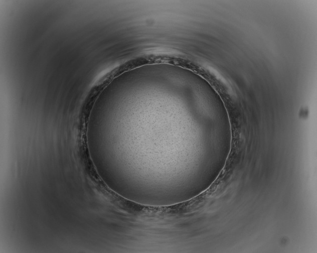 X0000103140775200808291337