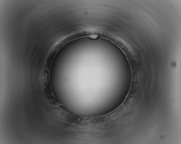 X0000103140776200808291337