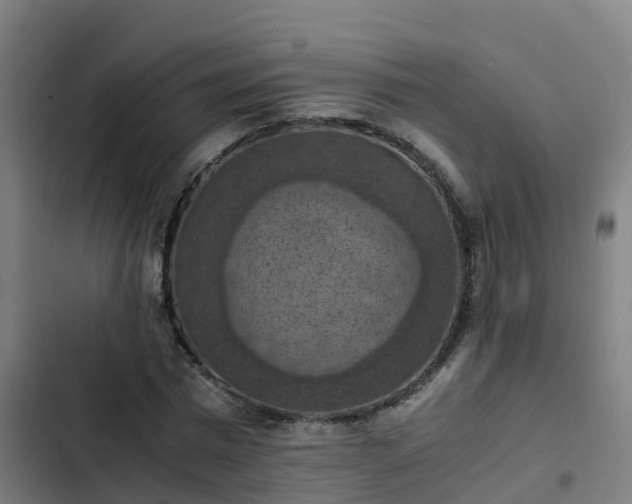 X0000103140777200808291337