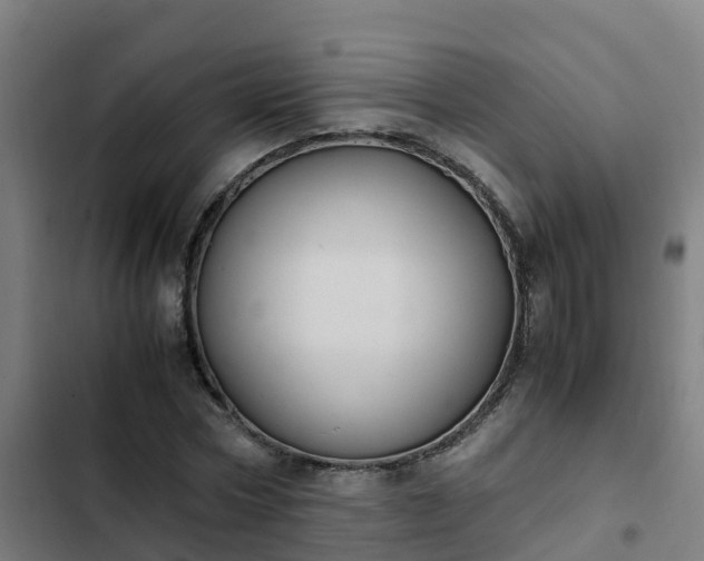 X0000103140778200808291337