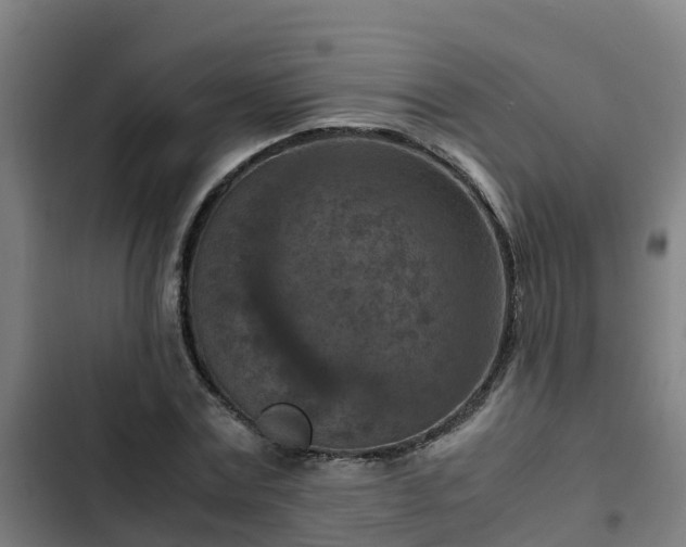 X0000103140779200808291337