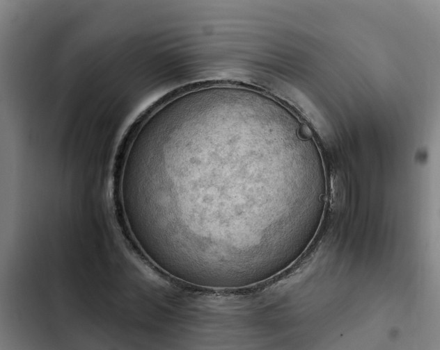 X0000103140780200808291337