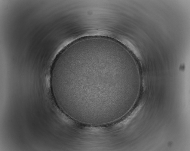 X0000103140781200808291337