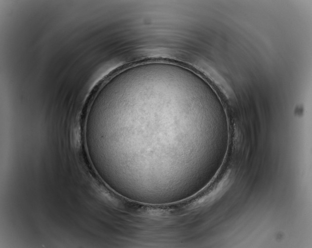 X0000103140782200808291337