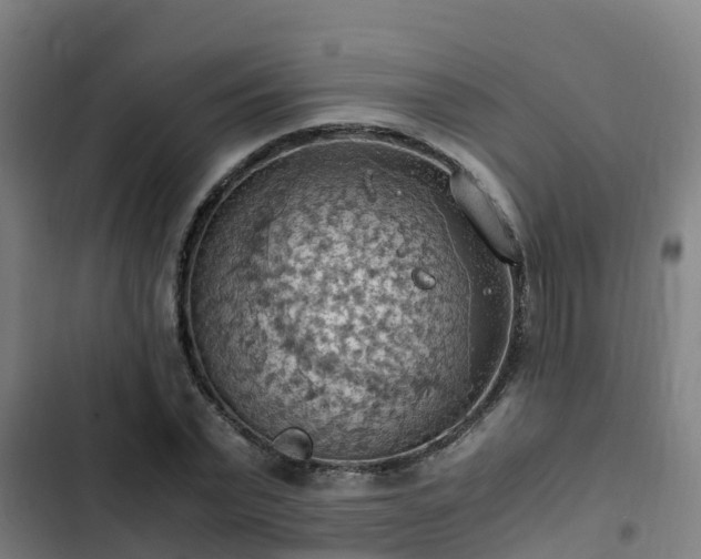 X0000103140783200808291337