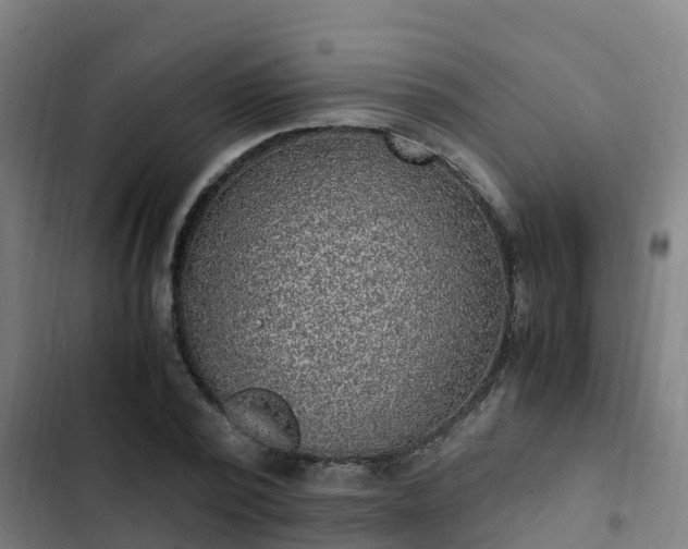 X0000103140784200808291337