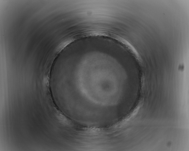 X0000103140785200808291337