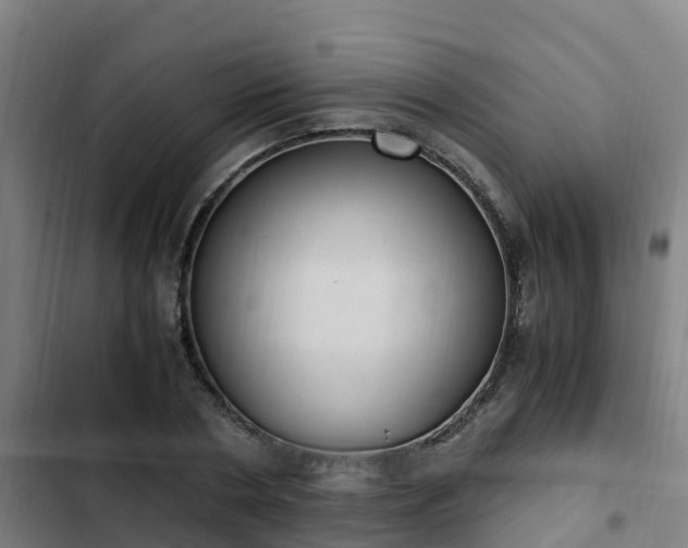 X0000103140786200808291337