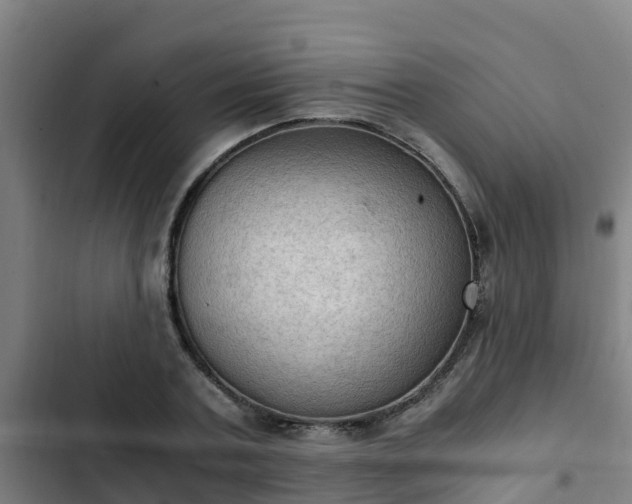 X0000103140787200808291337