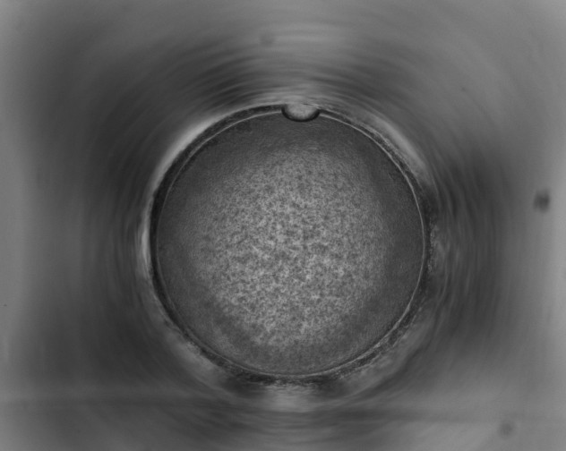 X0000103140788200808291337