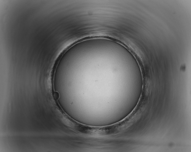 X0000103140789200808291337