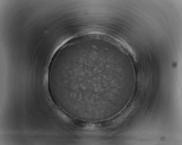 X0000103140790200808291337