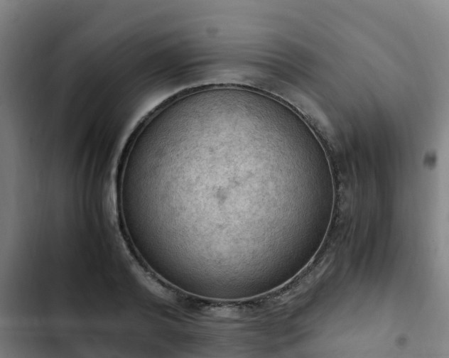 X0000103140792200808291337