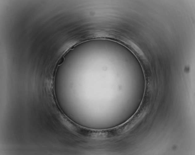 X0000103140793200808291337