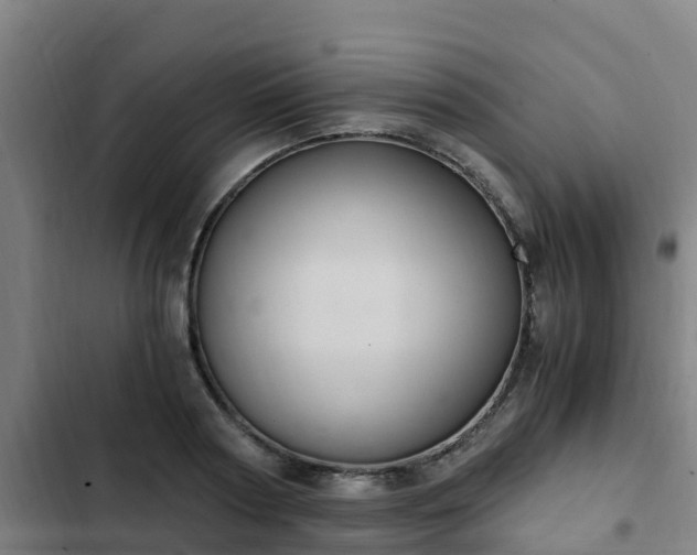 X0000103140794200808291337