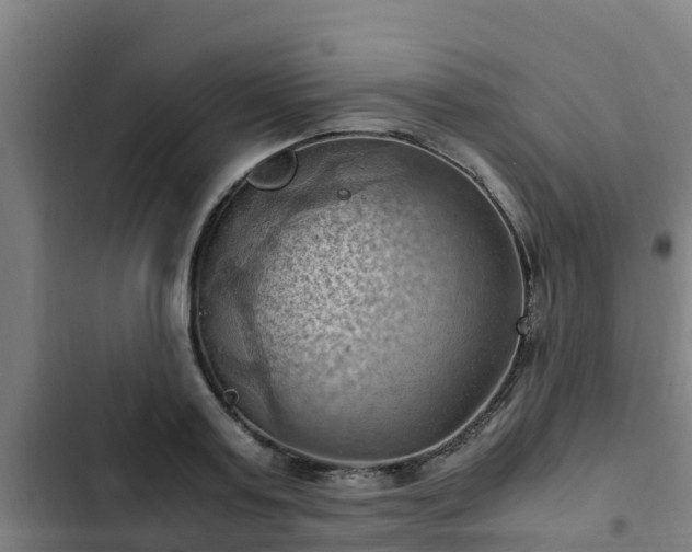 X0000103140795200808291337