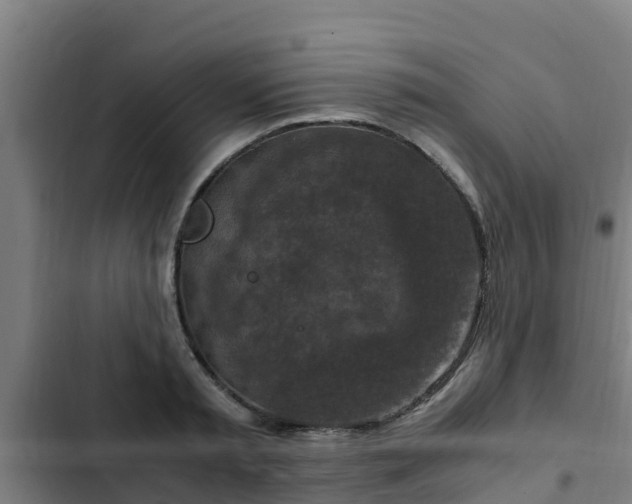 X0000103140797200808291337