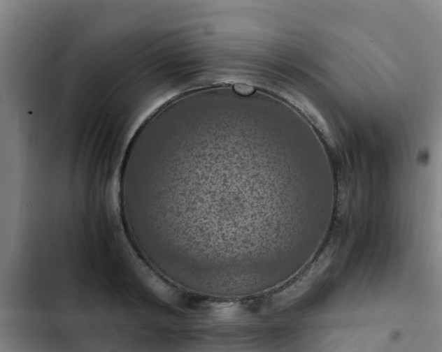 X0000103140798200808291337