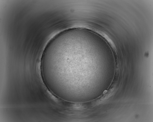 X0000103140799200808291337