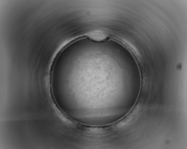 X0000103140800200808291337