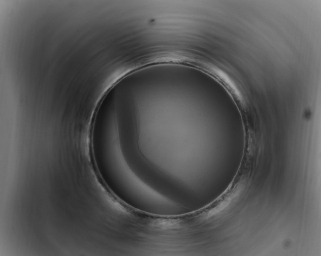 X0000103140802200808291337