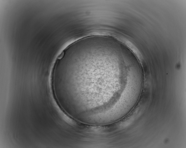 X0000103140803200808291337