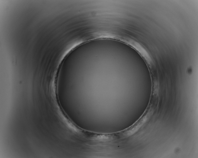 X0000103140806200808291337